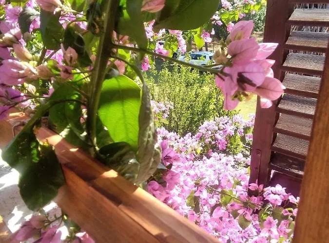 Stojanka 아파트 *