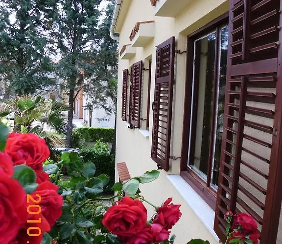 Stojanka * 메덜린