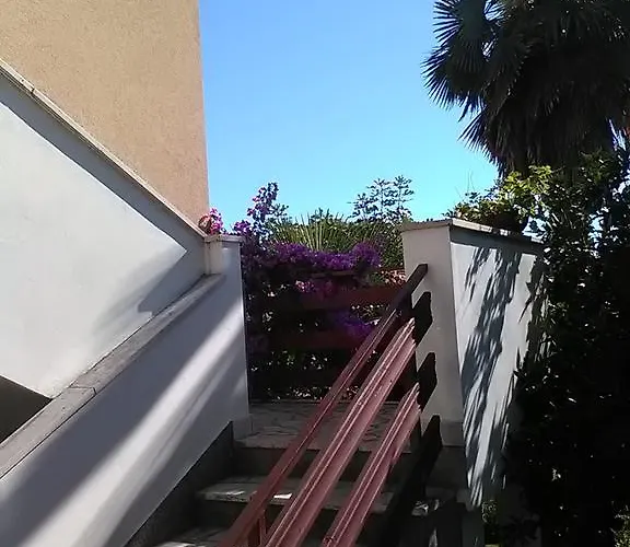 Stojanka * 메덜린