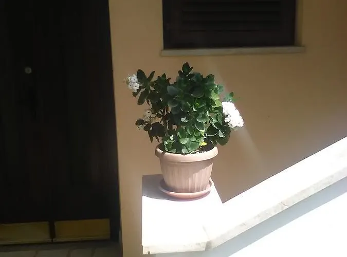 아파트 Stojanka *