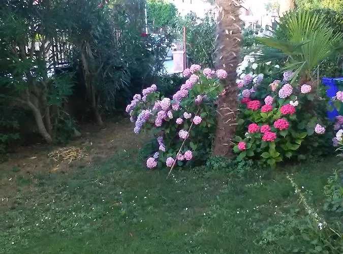 Stojanka * 메덜린