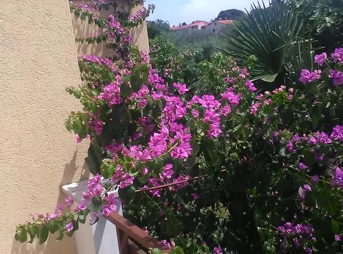 아파트 Stojanka 메덜린