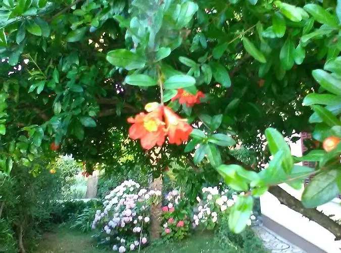 아파트 Stojanka *