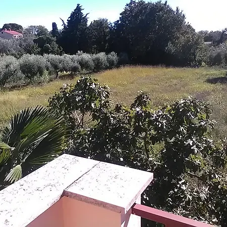 Apartamento Stojanka