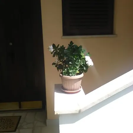 Apartamento Stojanka *